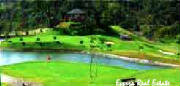 golf_course2.jpg